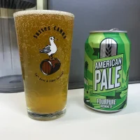 Fourpure Brewing Co - American Pale