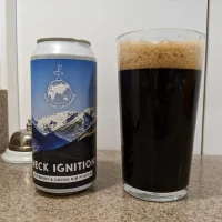 Lost and Grounded Brewers - Check Ignition