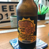 ALDI Stores UK and Hogs Back Brewery - Sunny Dayz