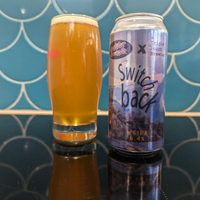 Loud Shirt Brewing Co and Triple Point Brewing - Switchback